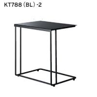 ＫＴー７８８　２　Ｈ５０５　木部色２色