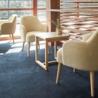 リアナチェア　　木部色２色より選択　表示Ａランク価格