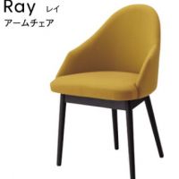 レイアームチェア　　木部色３色より選択　表示Ａランク価格