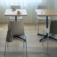 スカラ　脚部２色　（スチールフレーム）背裏色５色より選択