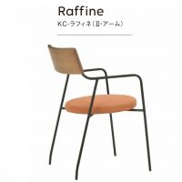 KC-ラフィネ　II・アーム　表示価Aランク