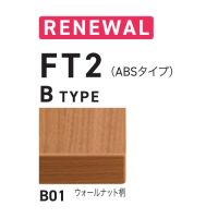 ＦＴ２　ＢＴＹＰＥ　サイズ５００&times;６００